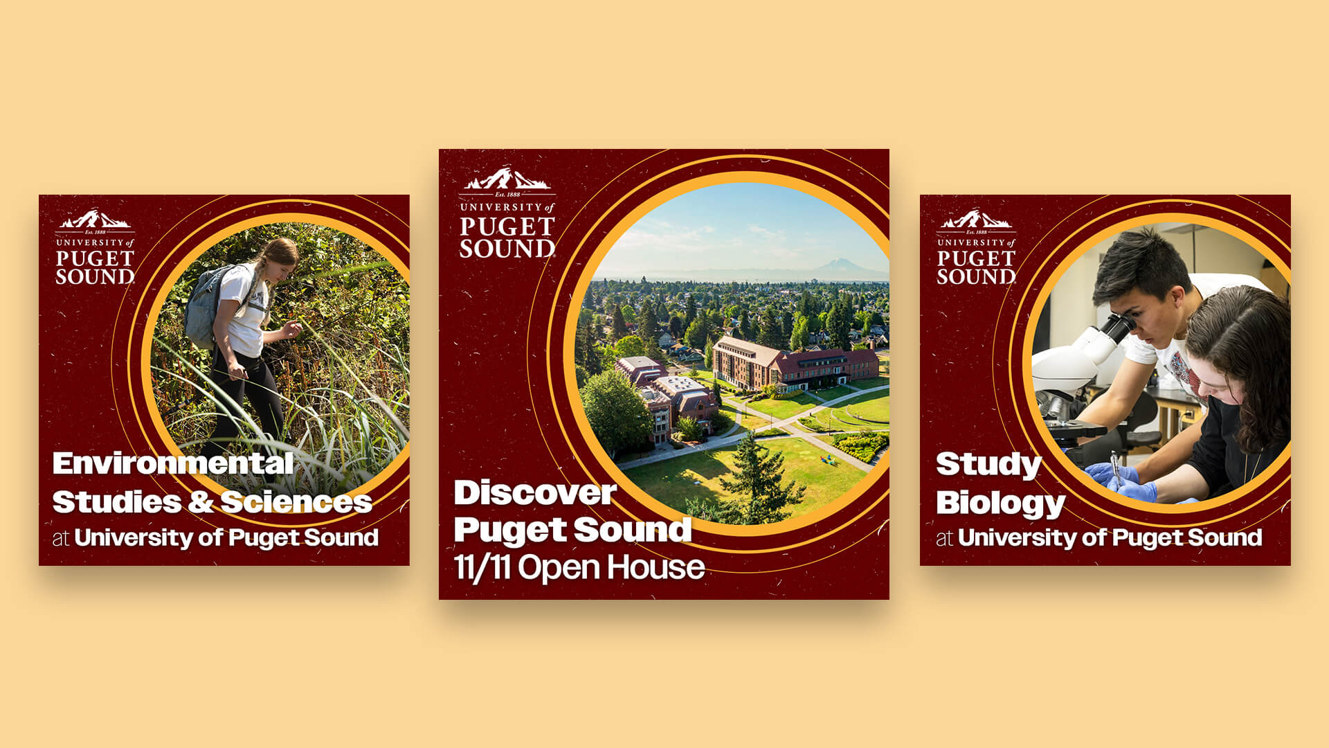 examples of social media ads promoting undergraduate degrees