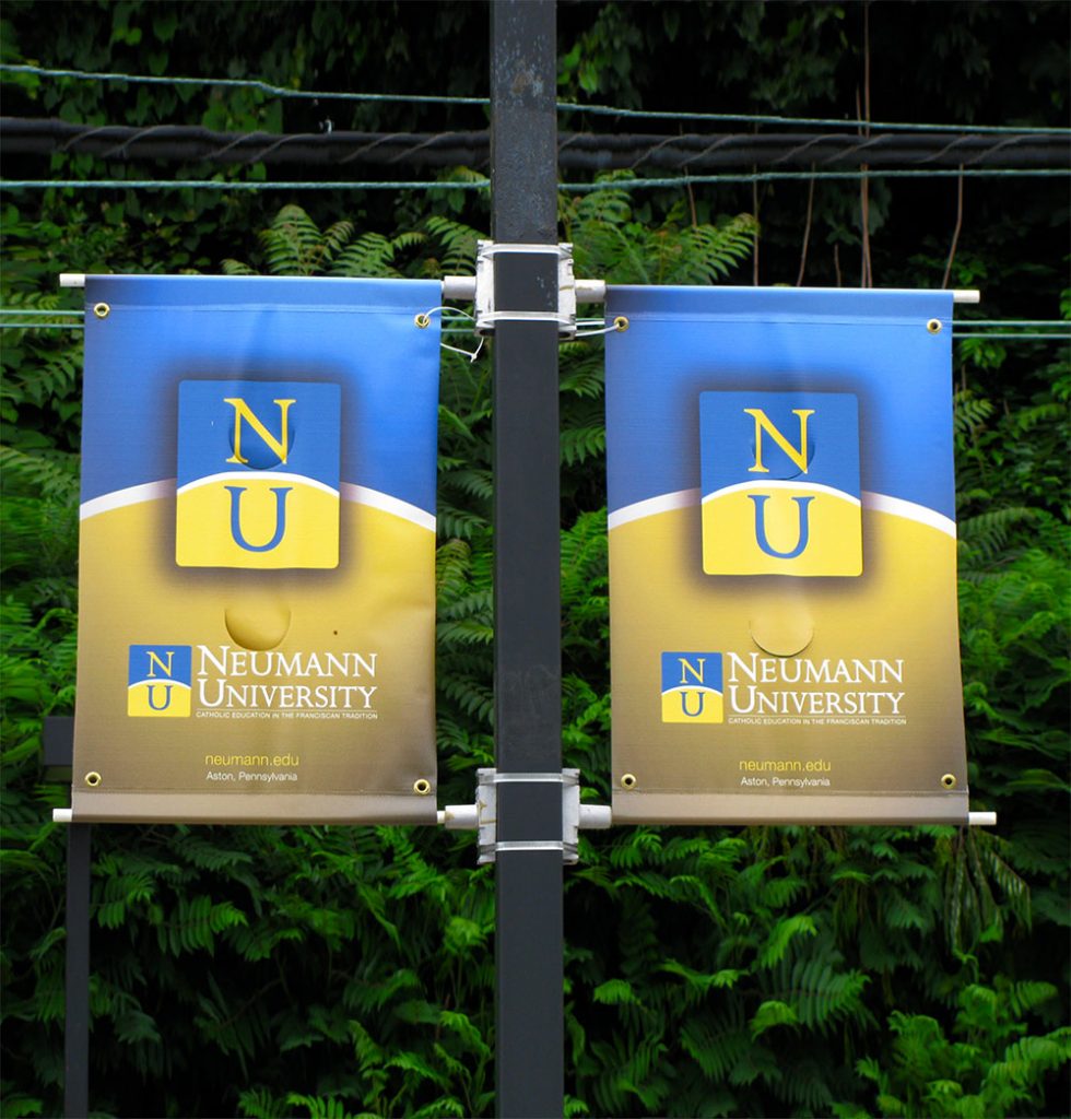 Neumann University Flags