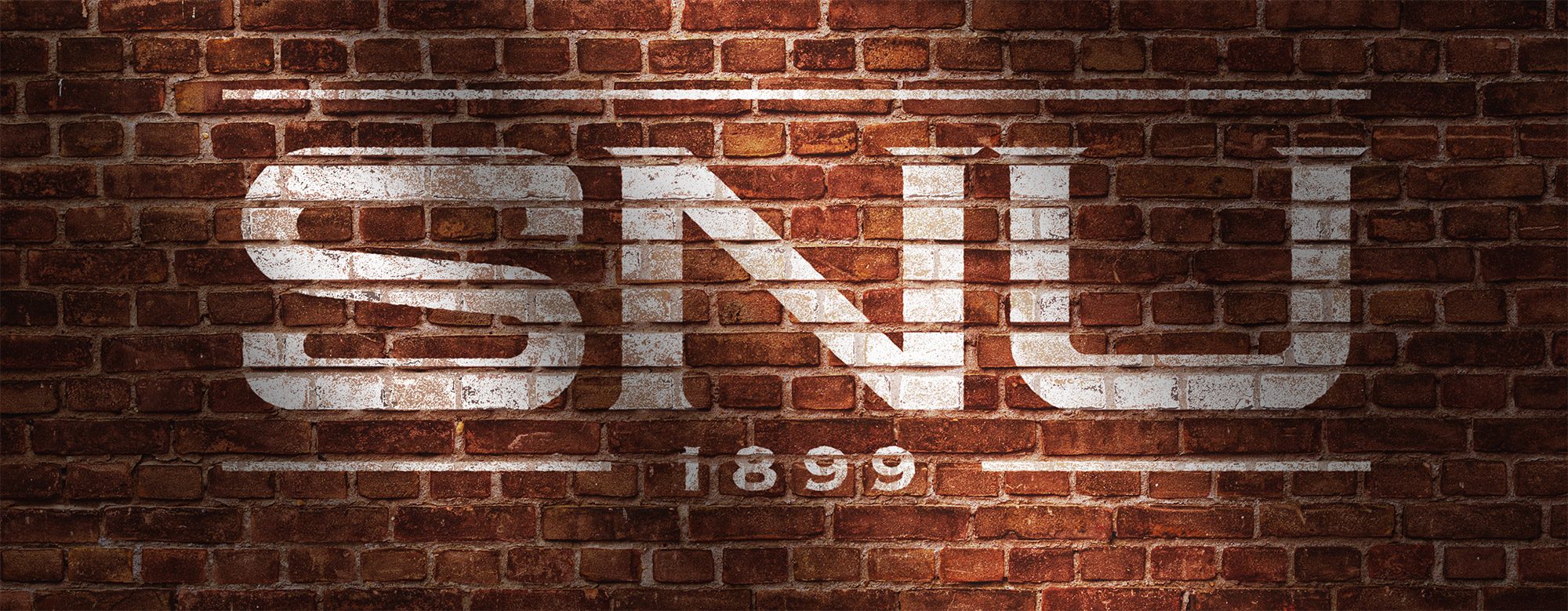 snu-work-banner