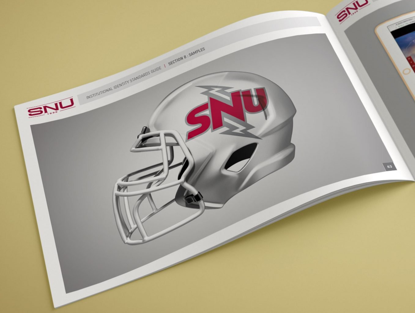 SNU Identity Standards